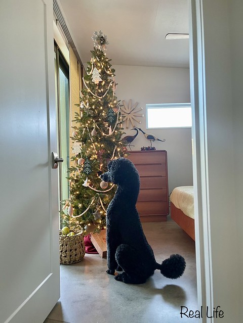 11/12 Owen is watching for Santa, possibly
