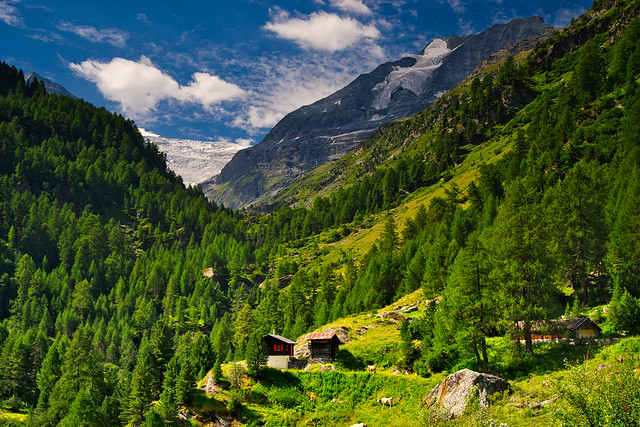 The upper end of the Turtmann valley, Valais/Wallis, Switzerland