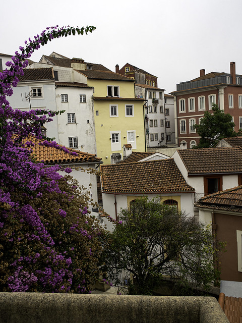 Coimbra view