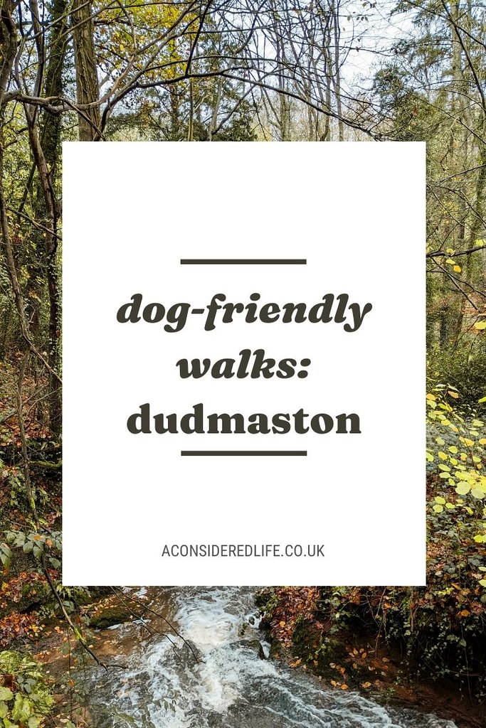 Dudmaston Estate - Dog-Friendly Walks