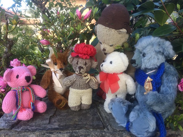 Paddington, Scout and the Camellia Flower Hat Parade I.