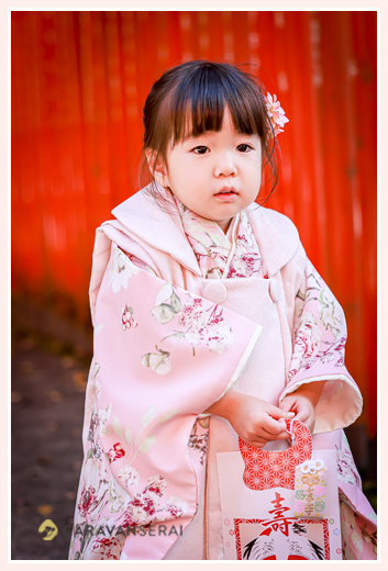 七五三　愛知県瀬戸市の深川神社へお参り　ライトピンクの置物を着た3歳の女の子