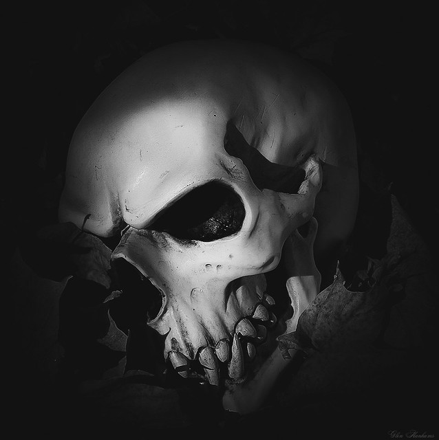 Dark skull