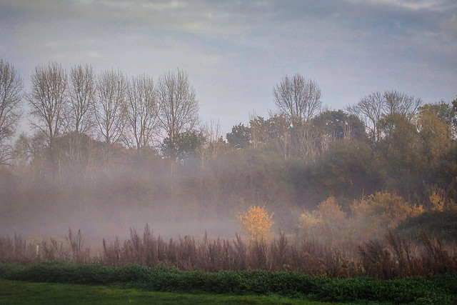 Colour layers on a misty day