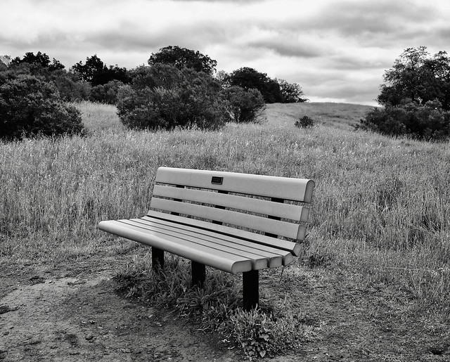 Lonely Bench