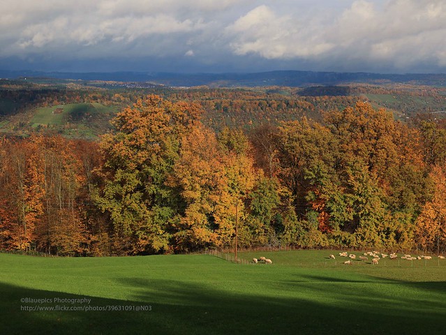 Goldboden, Autumn colours