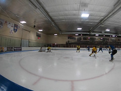 060122 - blade runners vs crease geese - pic 2