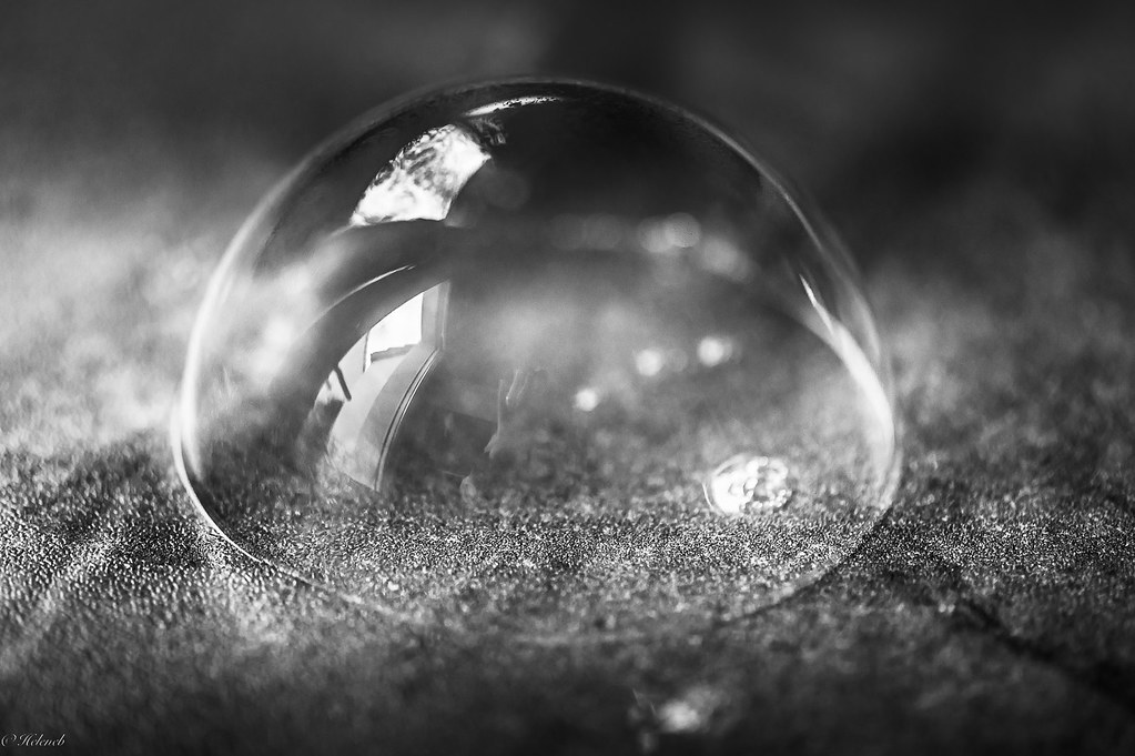 coucou de ma bulle | derniere bulle | Hélène Baudart | Flickr