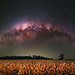 Milky Way at York, Western Australia