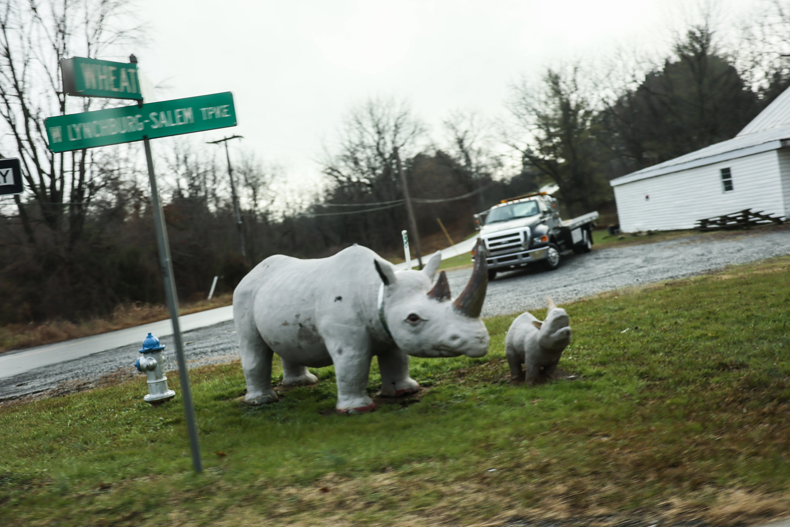 rhino statue at Wheat and Lynchburg-Salem Turnpike