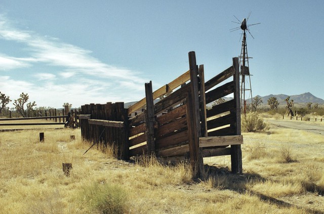 Abandoned Corral and Windmill
