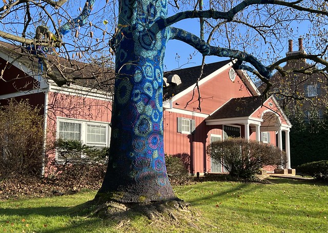 Yarn-bombed tree at the Long Island Museum