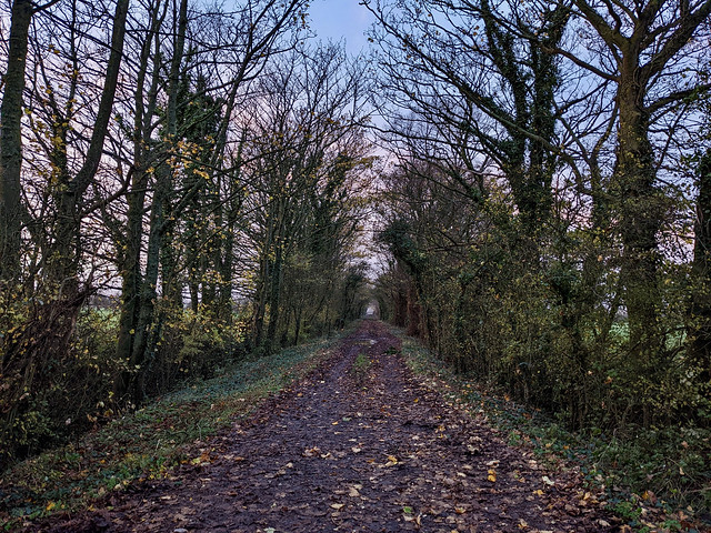 Severn Home Walk