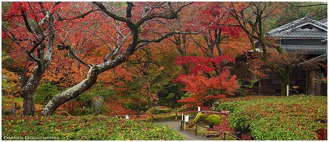 Hogon-in temple garden in autumn, Kyoto, Japan