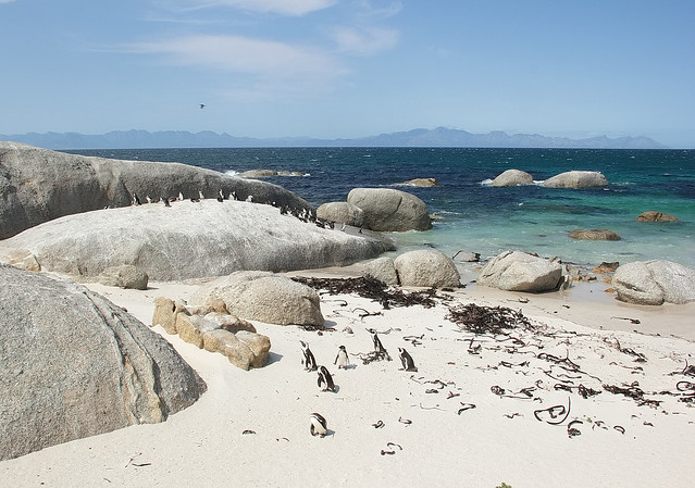 Simon's Town, Cape Town, Sud Africa