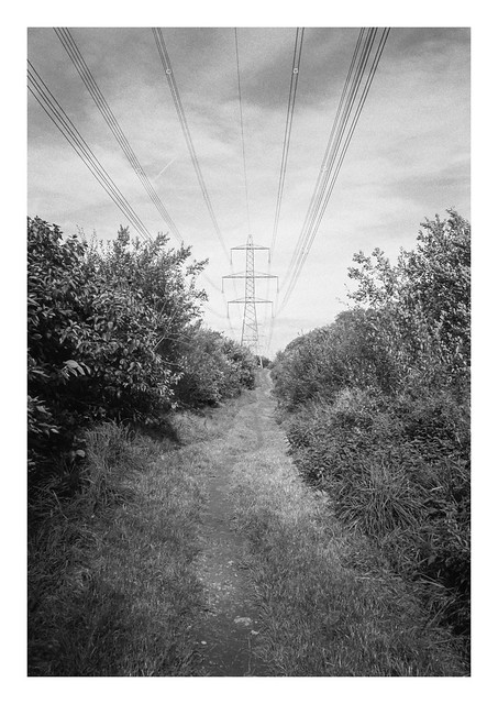 A path beneath the pylons