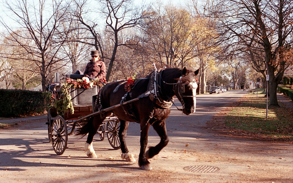 NOTL Horse and Carriage Nov 2022