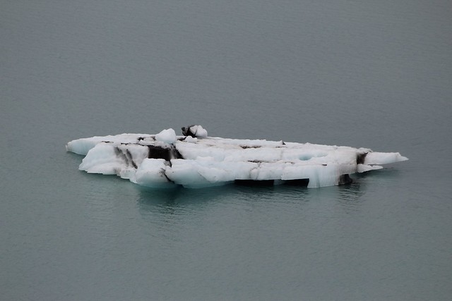 Trozo del Glaciar Bay, Alaska