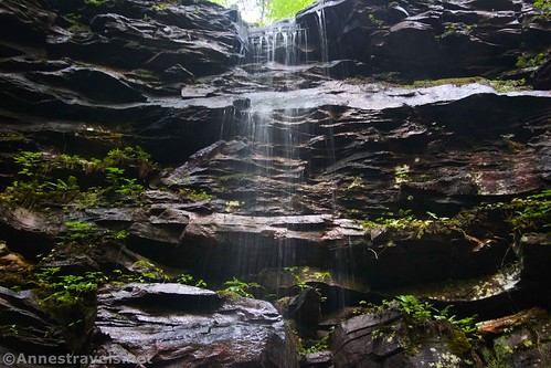 One of the small waterfalls to the left of Big Falls, Grassy Hollow Road, Pennsylvania State Game Lands 13