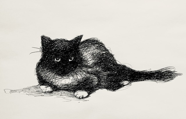 Welsh Cat. North Wales. Ballpoint pen drawing by jmsw on card