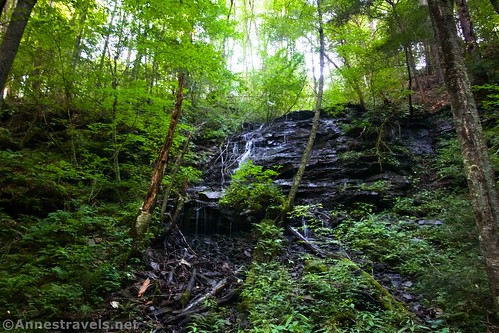 One of the small waterfalls near Big Falls, Grassy Hollow Road, Pennsylvania State Game Lands 13