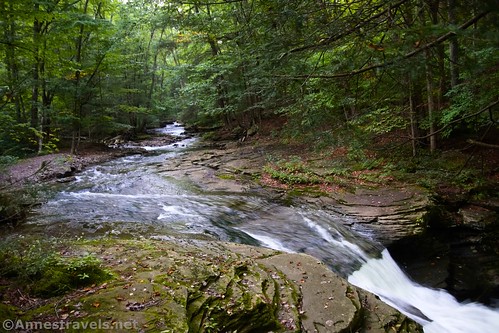 The pretty stream above Lewis Falls, Grassy Hollow Road, Pennsylvania State Game Lands 13