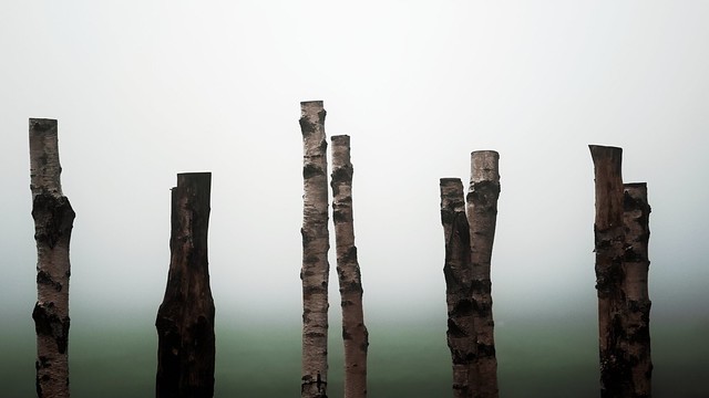 Armley park misty conditions