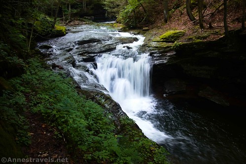 Lower Twin Falls along the Grassy Hollow Road, Pennsylvania State Game Lands 13