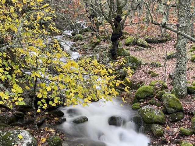 Río en la carretera paisajística entre el Valle del Ambroz y el Valle del Jerte (Cáceres)