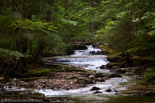 The stream above Lewis Falls, Pennsylvania