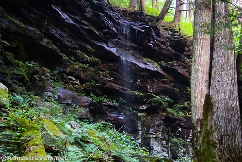 A small waterfall near Big Falls, Grassy Hollow Road, Pennsylvania State Game Lands 13