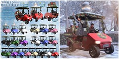 Sese - Winter Buggy !
