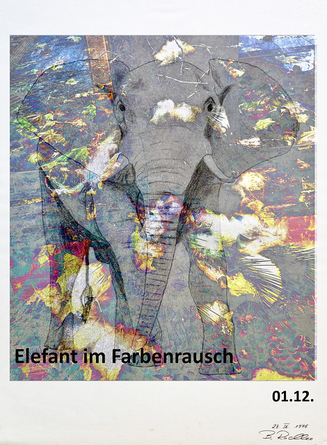 Adventskalender 2022-12-01 - Elefant im Farbenrausch