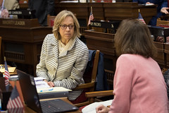 State Rep. Terrie Wood talks with a colleague in the House of Representatives.