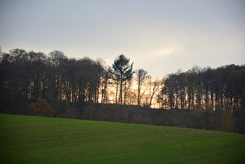 drought hessen taunus trees bäume wald winter germany deutschland woods sunset sundown sun silhouette nikon d7100