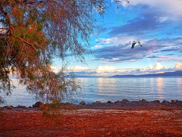 Aegeansea...🇬🇷