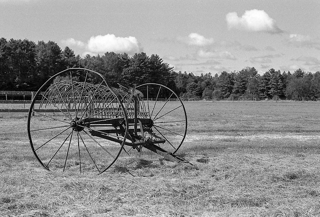 Old Hay Rake, Rosemary's Farm