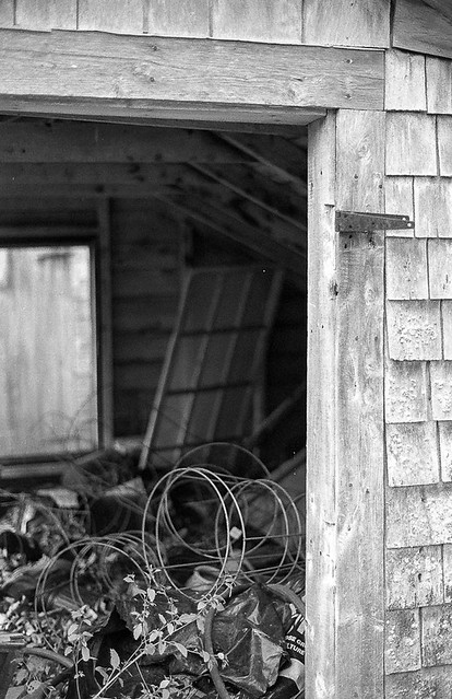 Old Chicken Coop, Rosemary's Farm