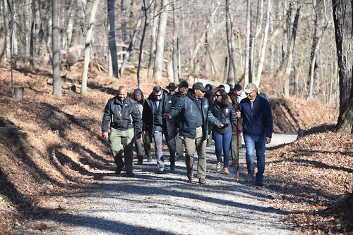 Photo of several people walking along a wooded trail