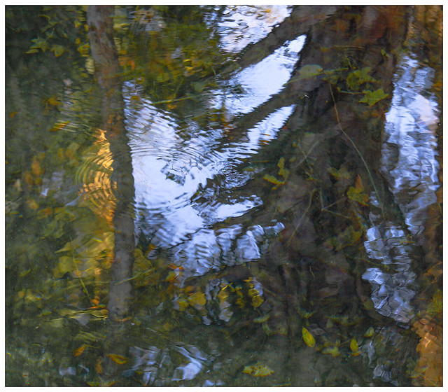 Flood Plain Swamp #13 2022; Abstraction Reflection