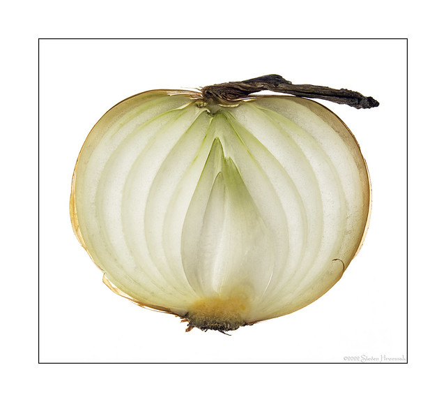 Backlit Onion Slice