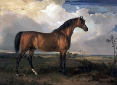 Eagle Oil on Canvas by James Ward 1809