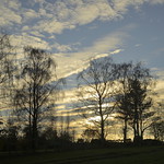 2. Detsember 2022 - 14:51 - Low November sun at Longsdon, Staffordshire