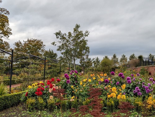 flowers, Dumfries House gardens, Ayrshire