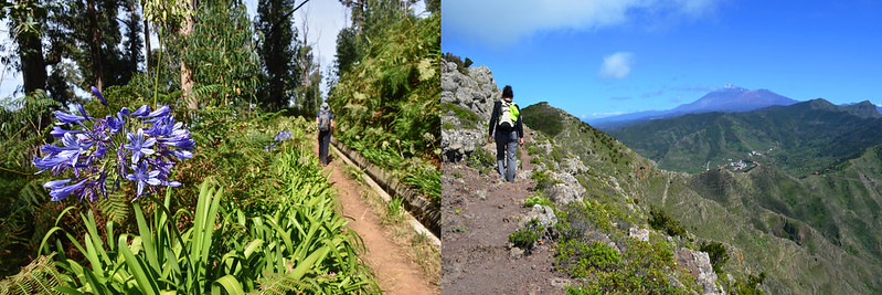 Which is better, Tenerife or Madeira - hiking