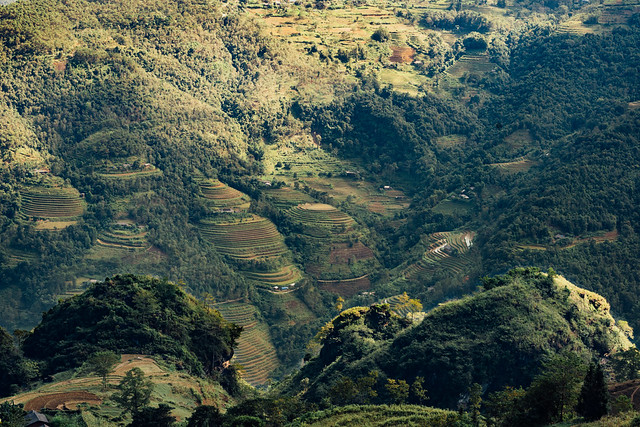 Terraced Mountainsides in Northern Vietnam
