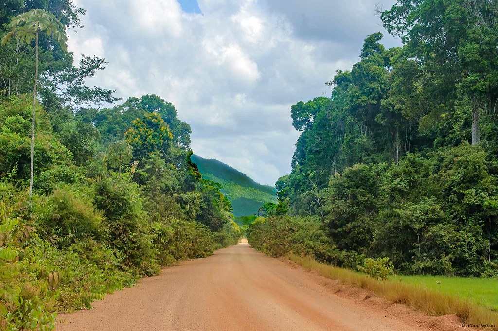 Iwokrama Forest Reserve, Guyana