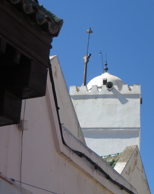 Au hasard des rues, les toits de la mosquée El-Oued, XVIIIe siècle, quartier des Andalous, médina de Fès El-Bali, Fès, Maroc.