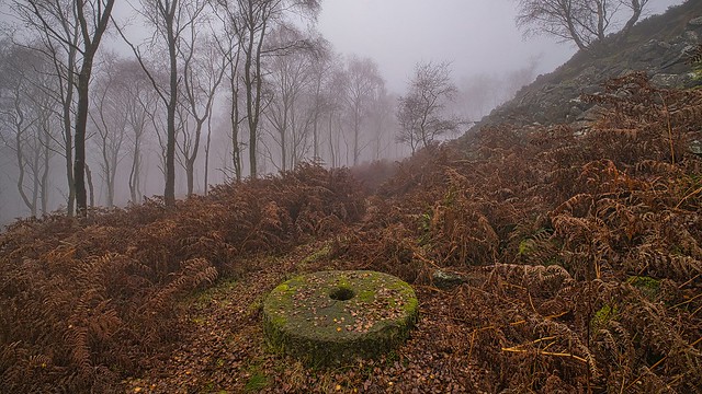 abandoned millstone