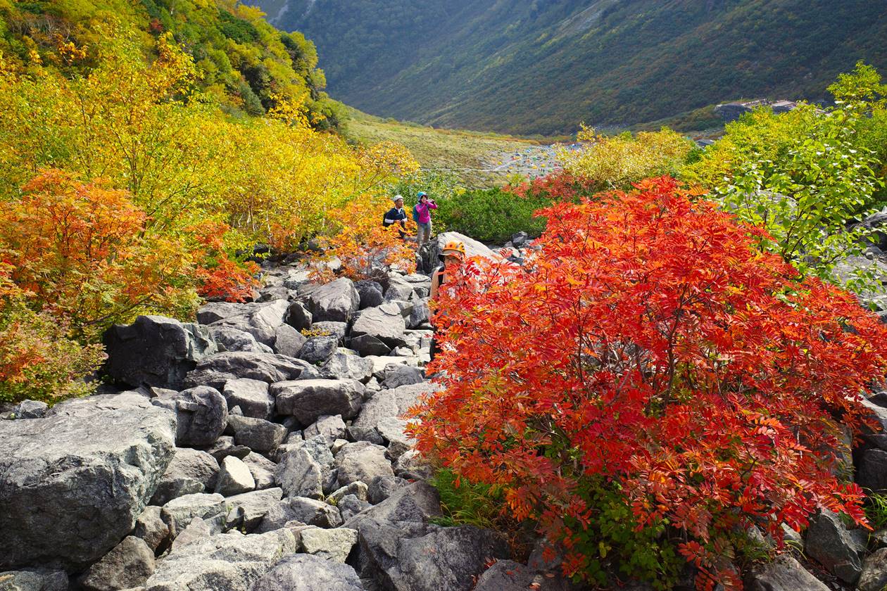 【北アルプス】涸沢岳からのご来光と涸沢の紅葉！秋の山小屋白登山